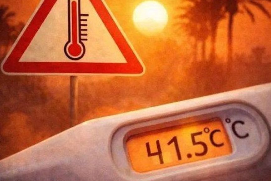 Hitzewelle in Deutschland: Tipps für erfrischende Sommergerichte