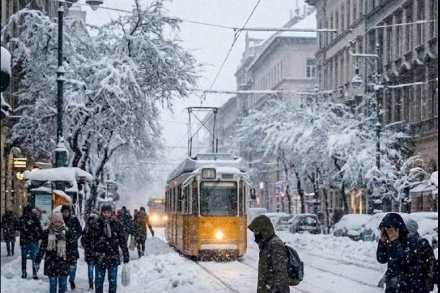 Winterliche Köstlichkeiten: Perfekte Rezepte für den ersten großen Schneefall